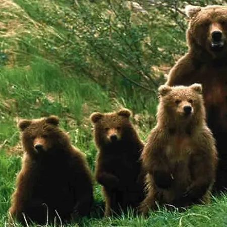 Vakantiehuis Stone House In Majella Park *