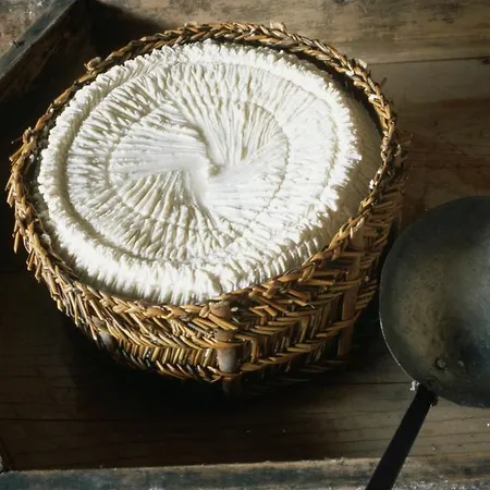 Stone House In Majella Park