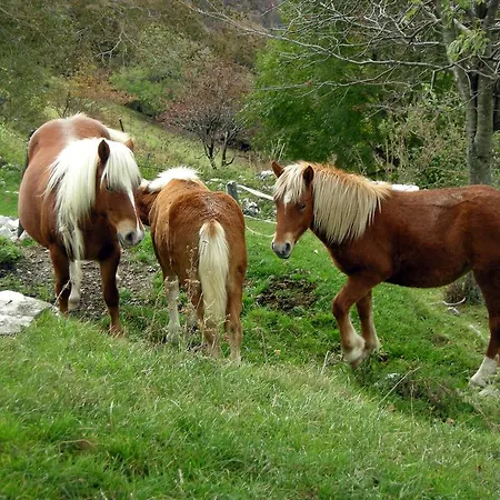 Stone House In Majella Park Vakantiehuis Sant'Eufemia a Maiella