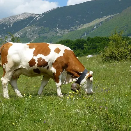 Stone House In Majella Park 度假居