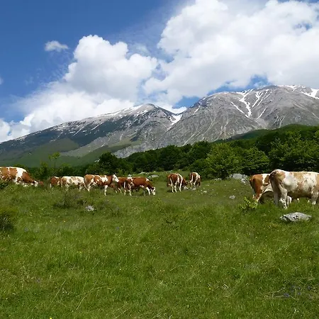 Stone House In Majella Park