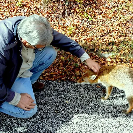 Stone House In Majella Park