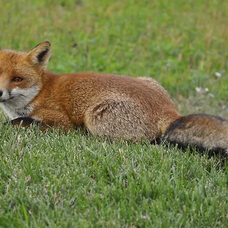 Stone House In Majella Park