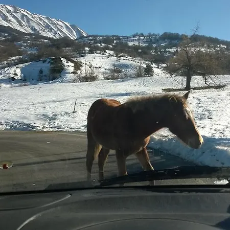 Stone House In Majella Park 度假居 圣埃乌费米亚阿马伊埃拉