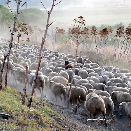 Vakantiehuis Stone House In Majella Park *