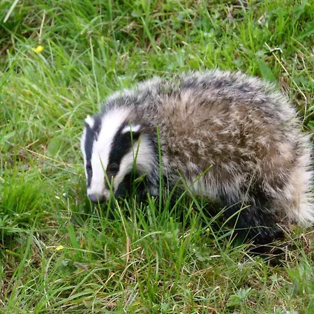Stone House In Majella Park