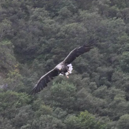 Stone House In Majella Park 度假居 *