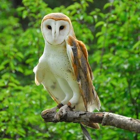 Stone House In Majella Park Vakantiehuis *