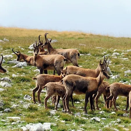 Stone House In Majella Park Vakantiehuis Sant'Eufemia a Maiella