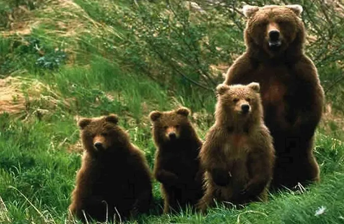 Tatil Evi Stone House In Majella Park *