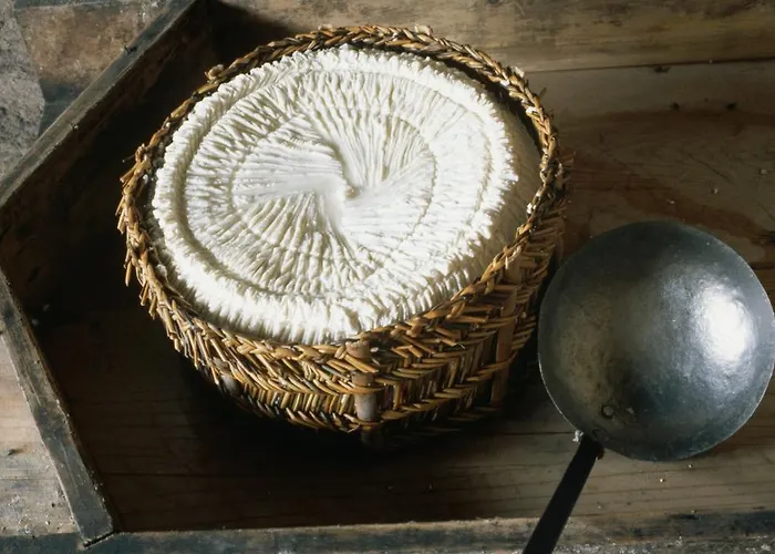 Stone House In Majella Park