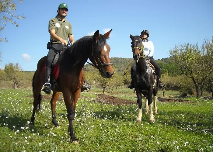 Stone House In Majella Park Tatil Evi