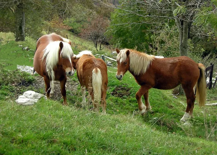 Stone House In Majella Park Tatil Evi Sant'Eufemia a Maiella