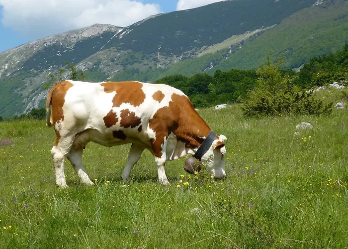 Stone House In Majella Park Tatil Evi