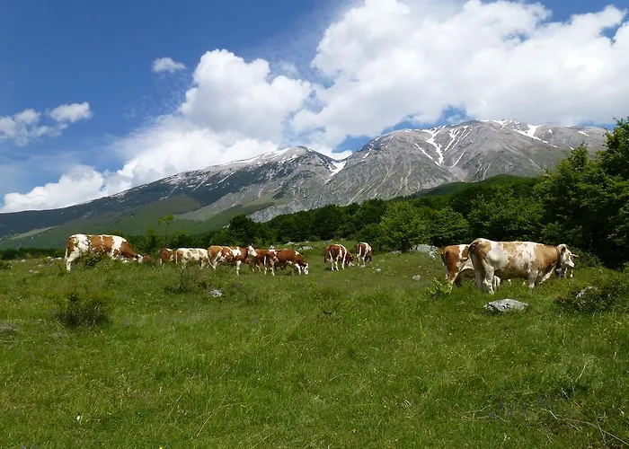 Stone House In Majella Park
