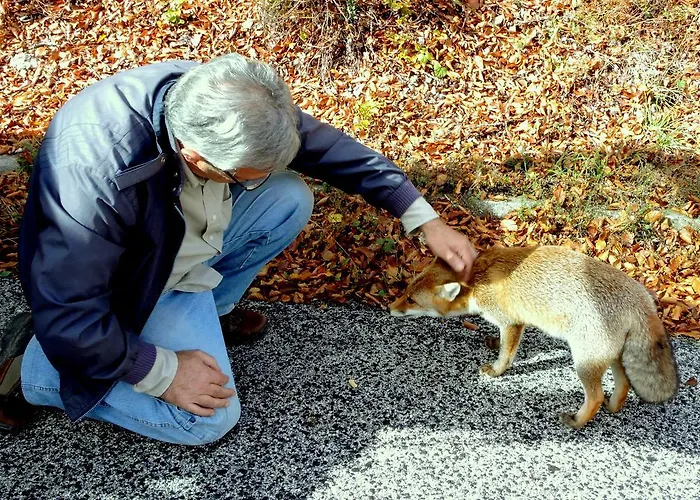 Stone House In Majella Park
