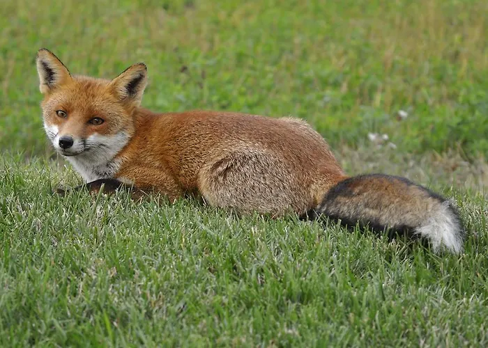 Stone House In Majella Park