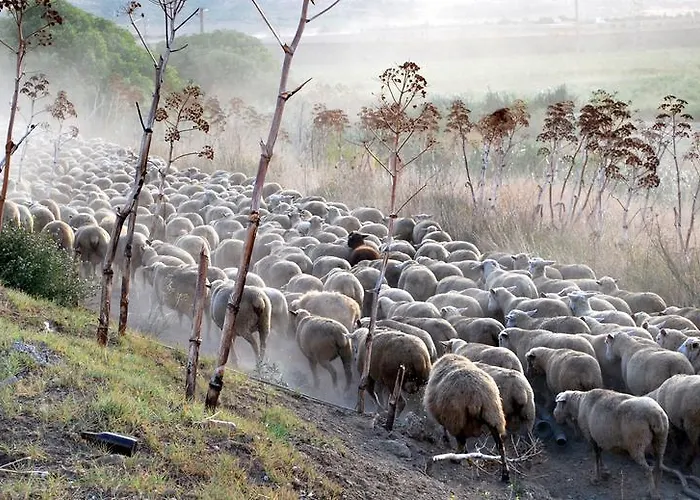 Tatil Evi Stone House In Majella Park *