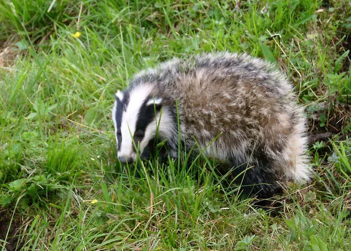 Stone House In Majella Park