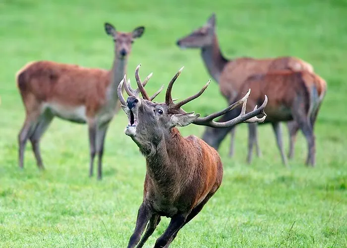 Stone House In Majella Park