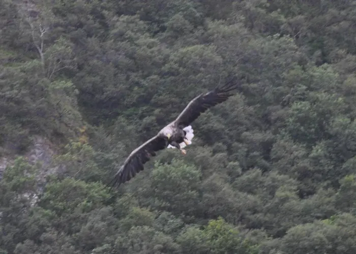 Stone House In Majella Park Tatil Evi *