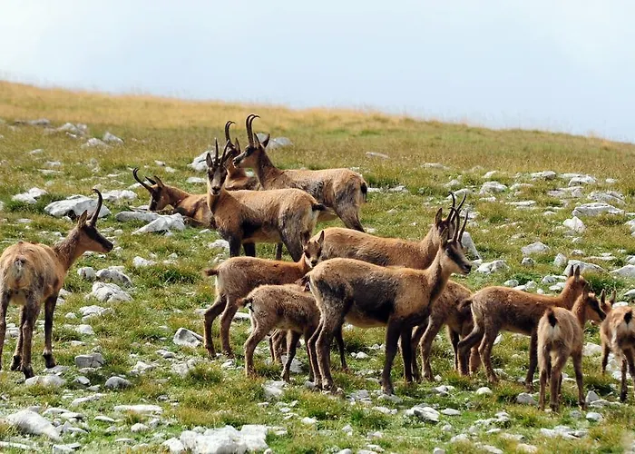 Stone House In Majella Park Tatil Evi Sant'Eufemia a Maiella