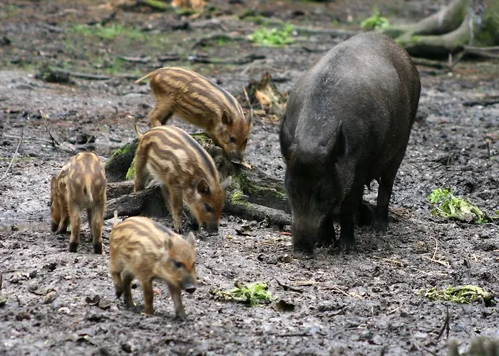 Stone House In Majella Park * Sant'Eufemia a Maiella